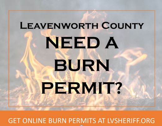 Need a burn permit smaller size